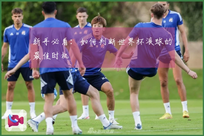新手必看：如何判断世界杯滚球的最佳时机