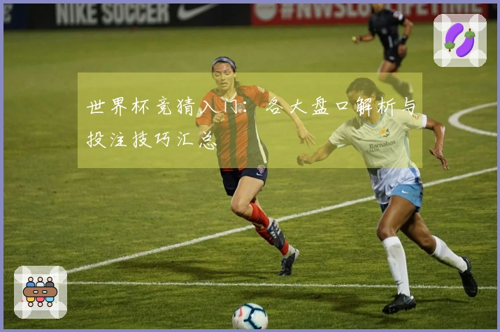 世界杯竞猜入门：各大盘口解析与投注技巧汇总