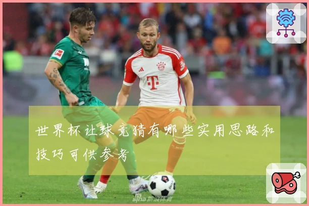 世界杯让球竞猜有哪些实用思路和技巧可供参考