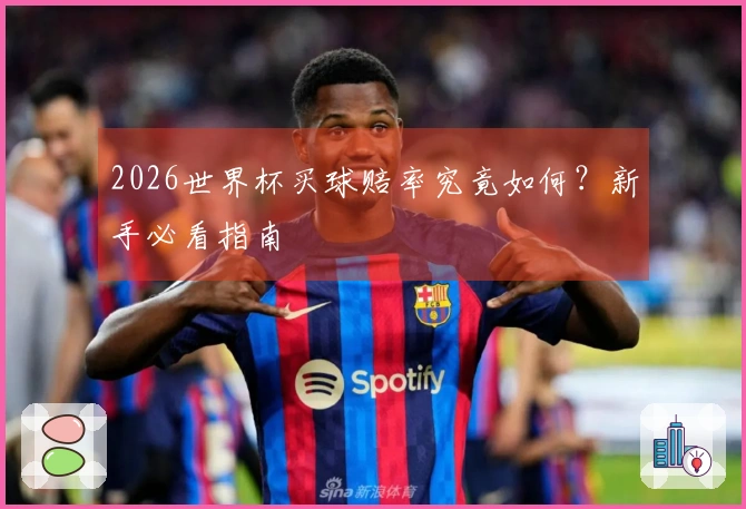 2026世界杯买球赔率究竟如何？新手必看指南