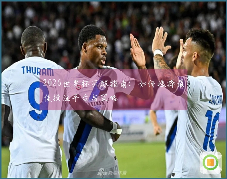 2026世界杯买球指南：如何选择最佳投注平台与策略