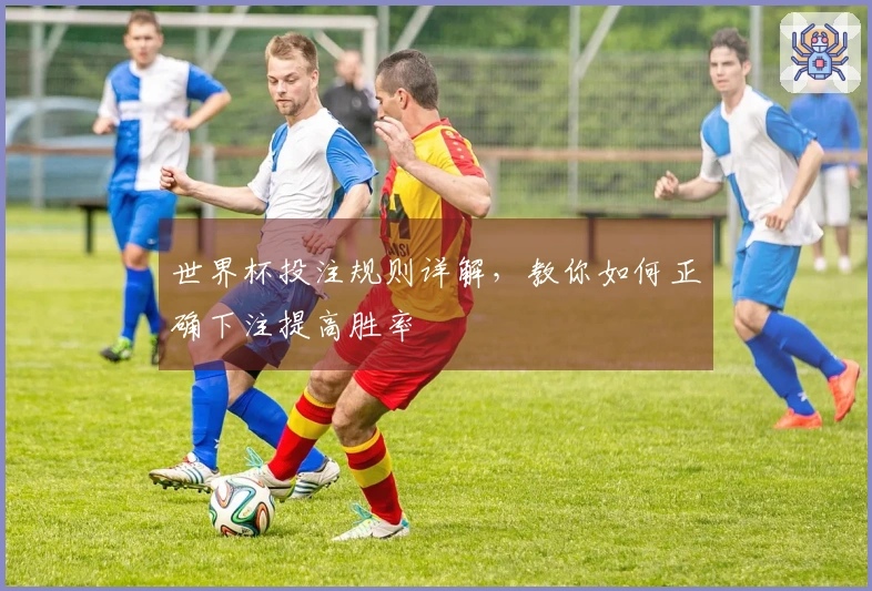 世界杯投注规则详解，教你如何正确下注提高胜率