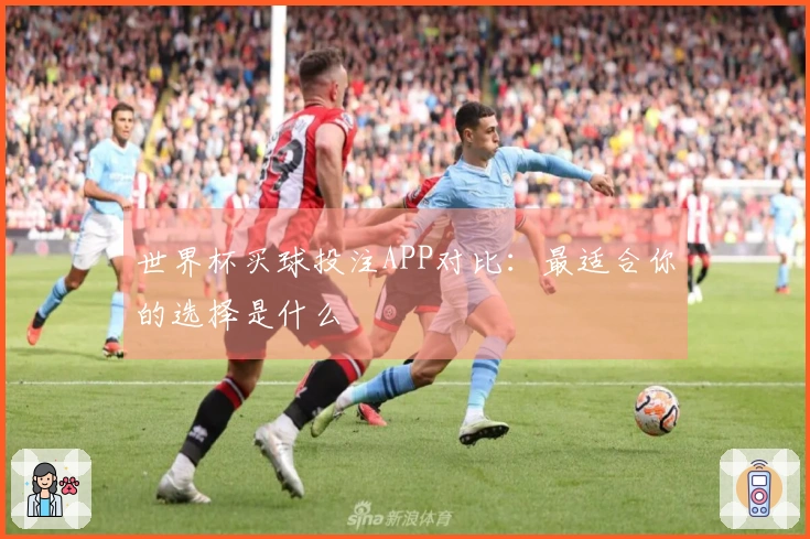 世界杯买球投注APP对比：最适合你的选择是什么